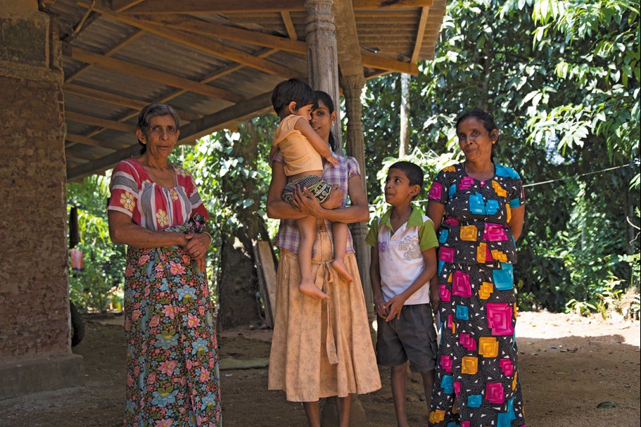 Familj som odlar ingefära i Sri Lanka